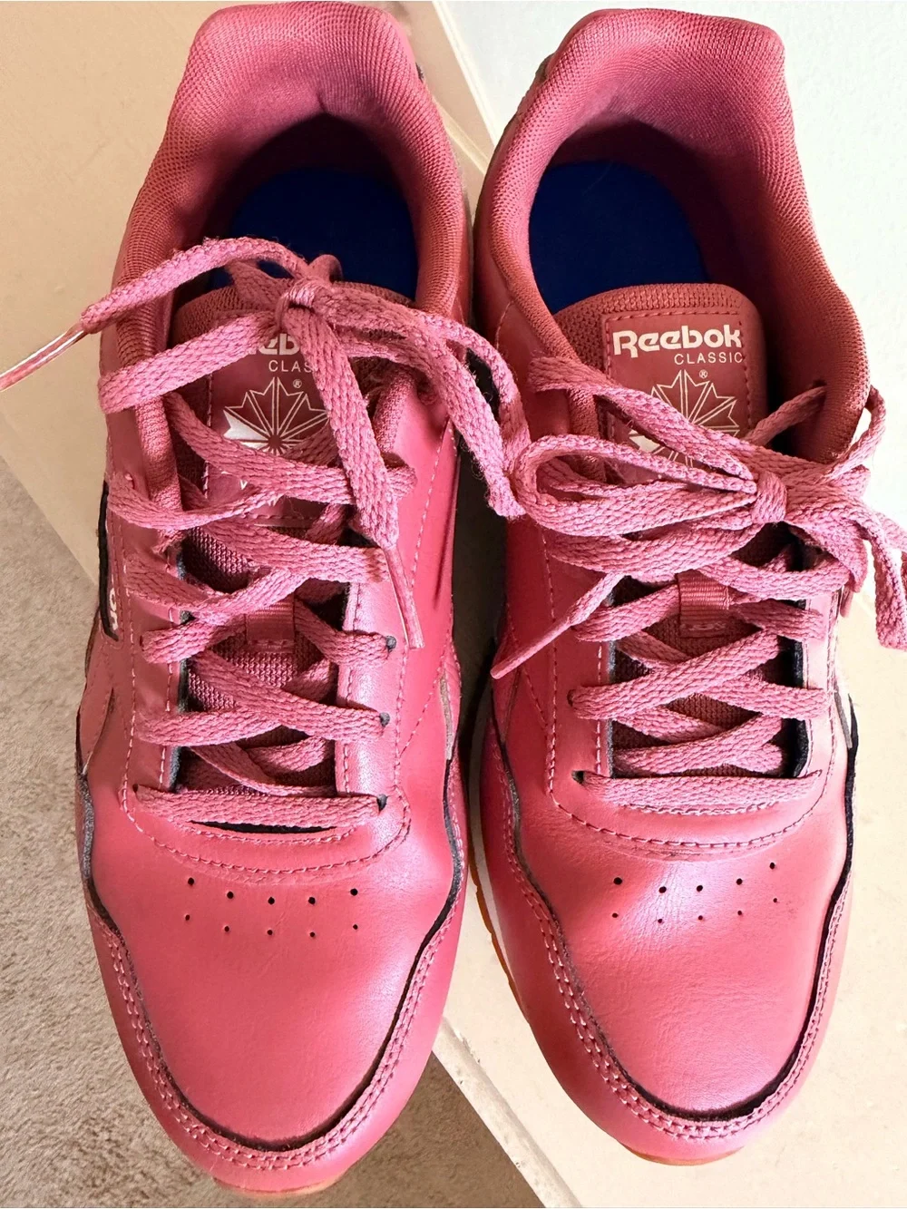 Reebok classic silhouette
